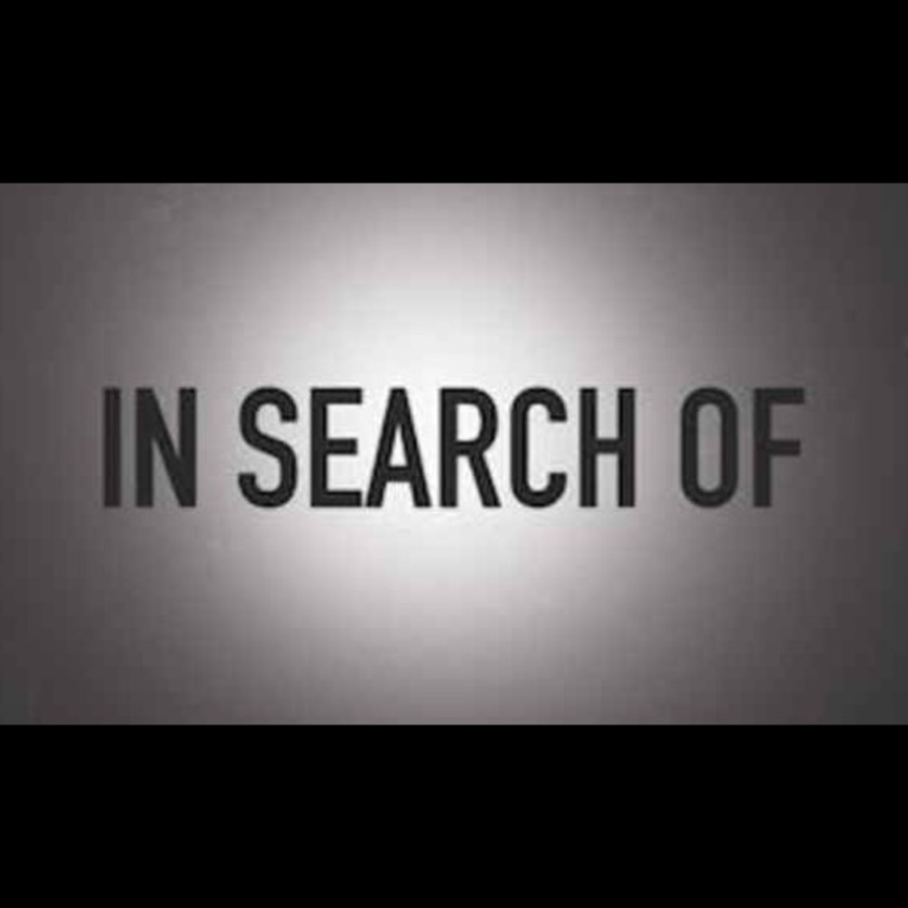 ISO Urban Decay WILDFIRE metallized lipstick